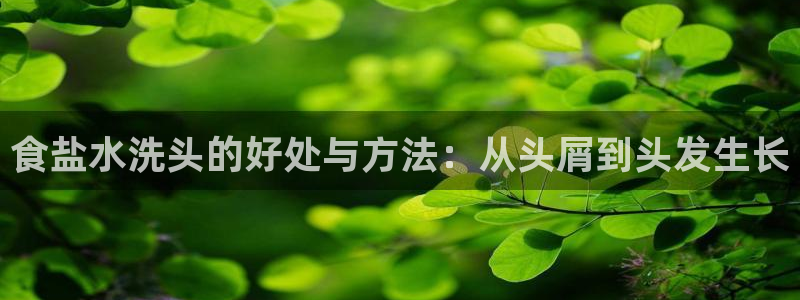 威九国际最受欢迎的功能