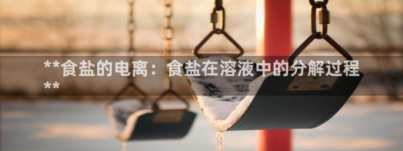 威九国际官方入口官网