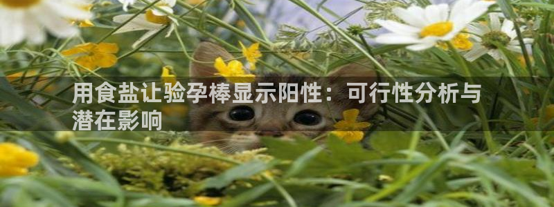 威九国际网站客服电话多少啊