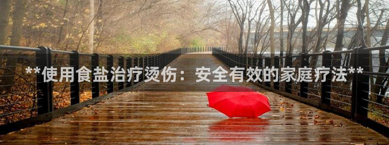 威九国际动漫