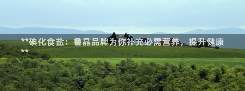 威九国际X8