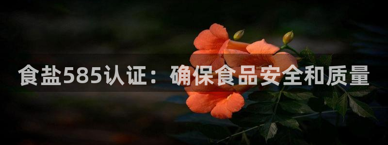 威九国际78m78