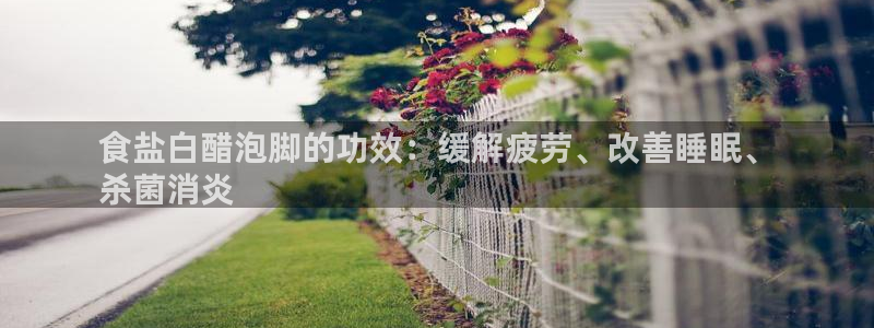 威九国际电子游戏