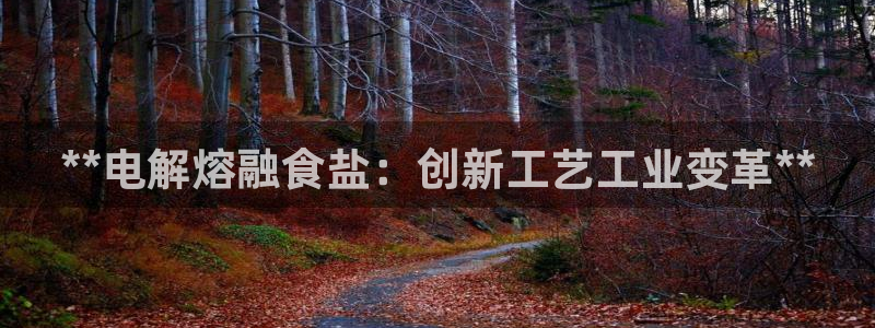 威九国际电子游戏