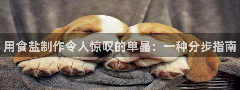 威九国际取款不会被骗吧吗