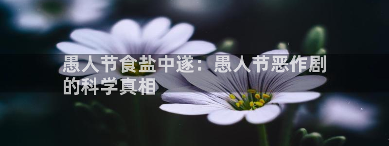 威九国际旗下艺人