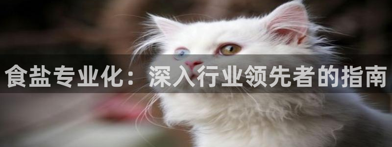 威九国际可以退钱吗怎么退的