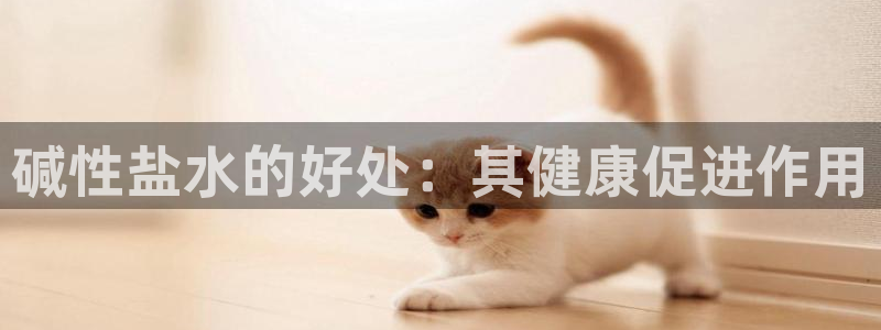 威九国际客服电话号码