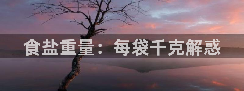 威九国际小说