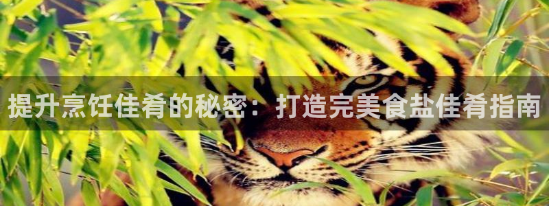 威九国际网站进入(中国)有限公司-官网