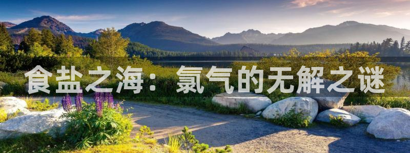 威九国际集团66m一6在线