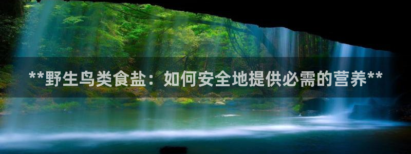 威九国际8ⅹ8x
