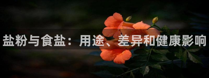 78mapp威九国际网页版