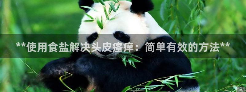 威九国际ppt免费下载