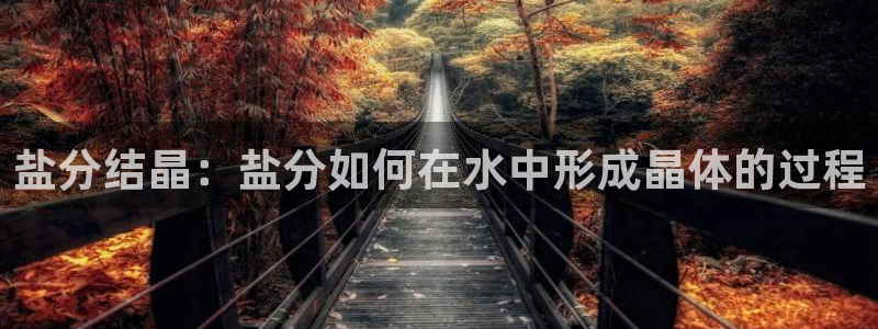 威九国际网站怎么样可靠吗