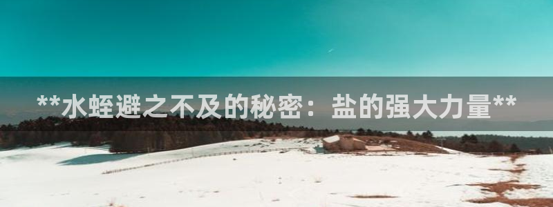 威九国际可以退钱吗怎么退款