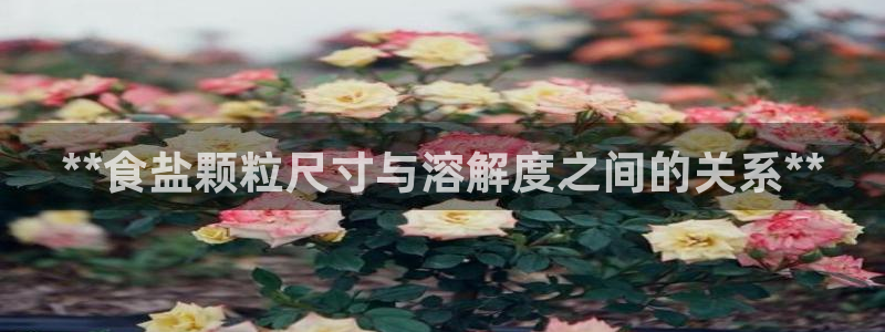 威九国际的金融服务