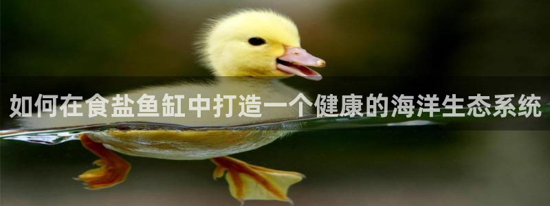 威九国际精选