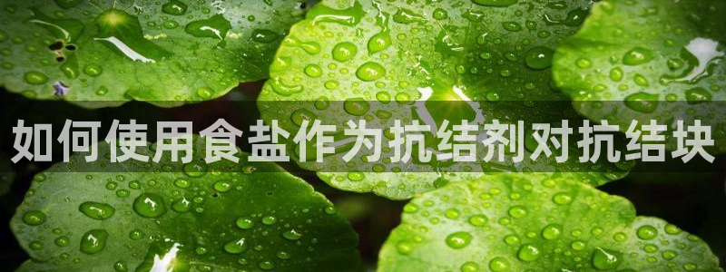 78mapp威九国际网
