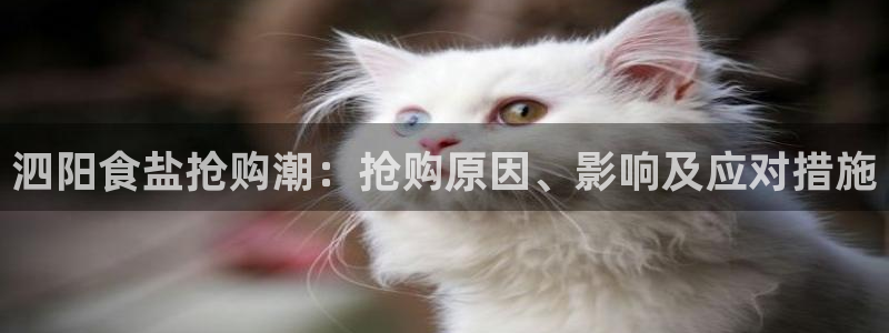 威九国际网站客服电话多少号