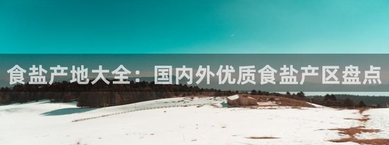 威九国际v9