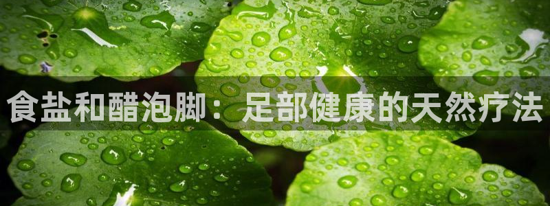 威九国际8ⅹ8x