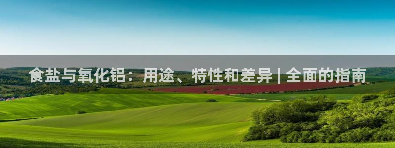 威九国际游戏app(网站)